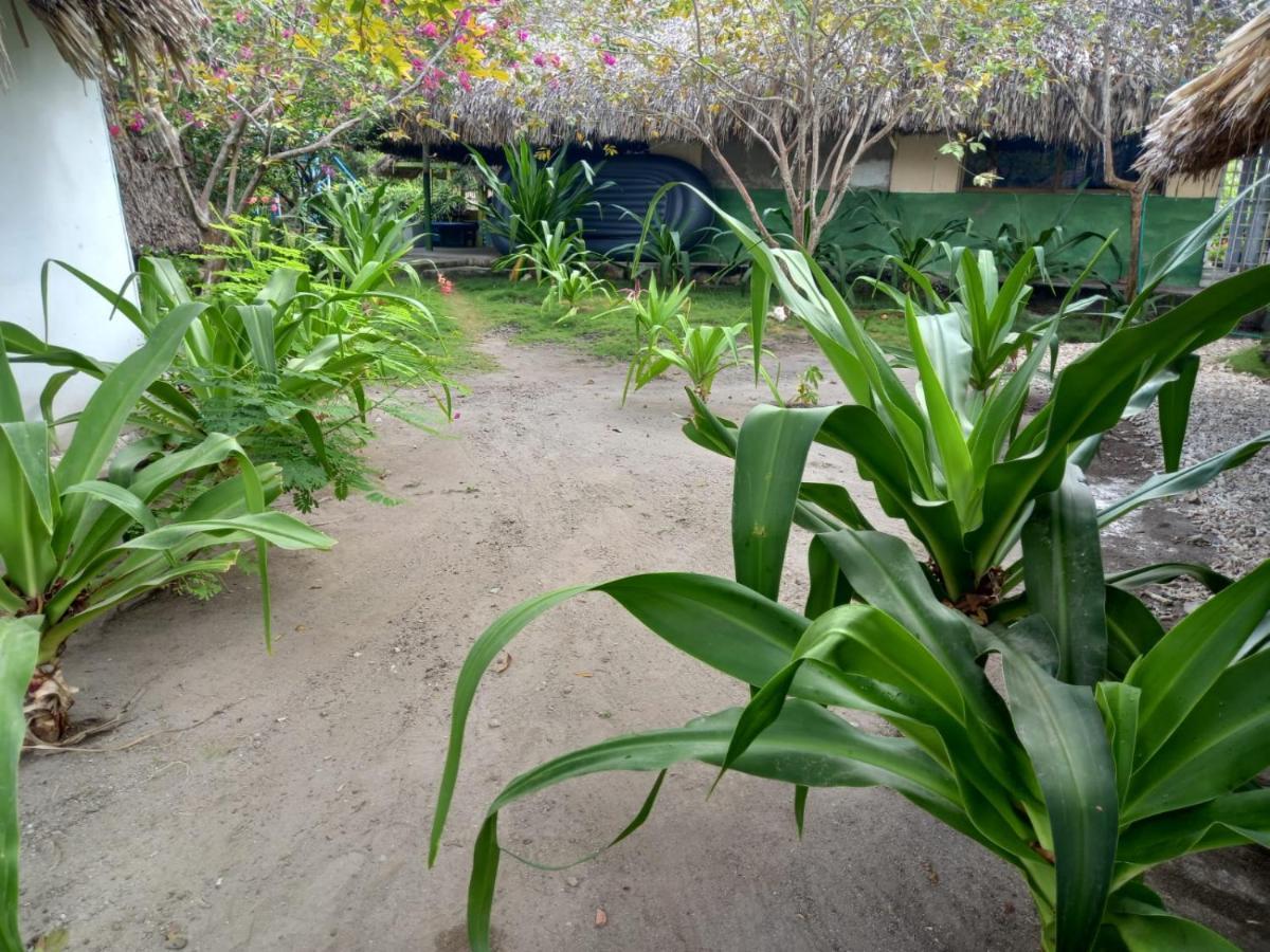 Las Flores Econativo 格兰德岛 外观 照片