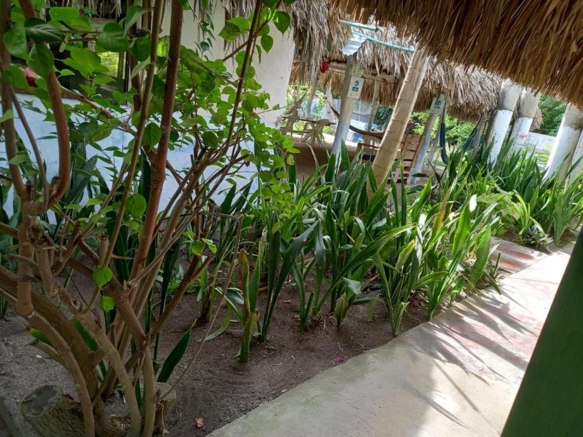Las Flores Econativo 格兰德岛 外观 照片